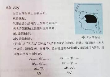 汉语发音在线，探索语言学习的数字化未来之路